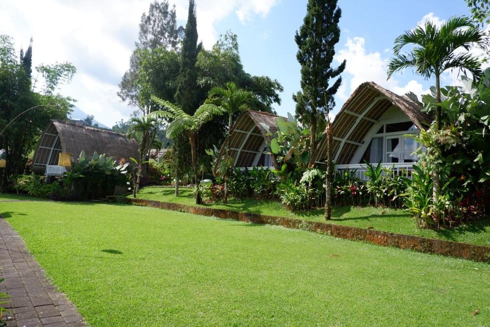 Village Above The Clouds